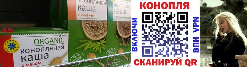 KRAKEN как войти  продажа наркотиков  darknet телеграм  Canna-Cookies конопля  Правдинск 