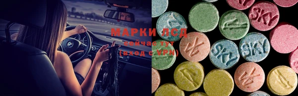 spice Магадан