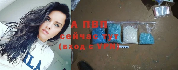 трава Магас