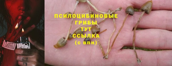 spice Магадан