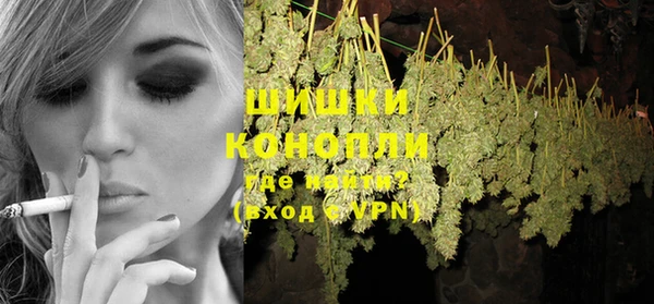 трава Магас