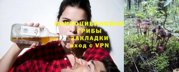 трава Магас