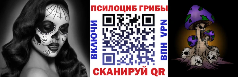 Галлюциногенные грибы Psilocybine cubensis  где продают   Правдинск 